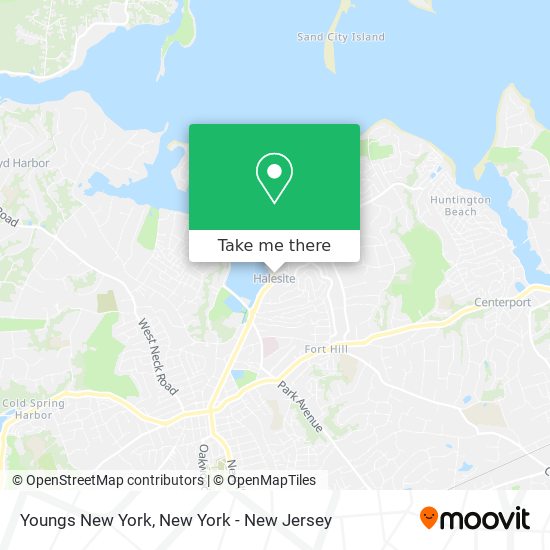 Youngs New York map