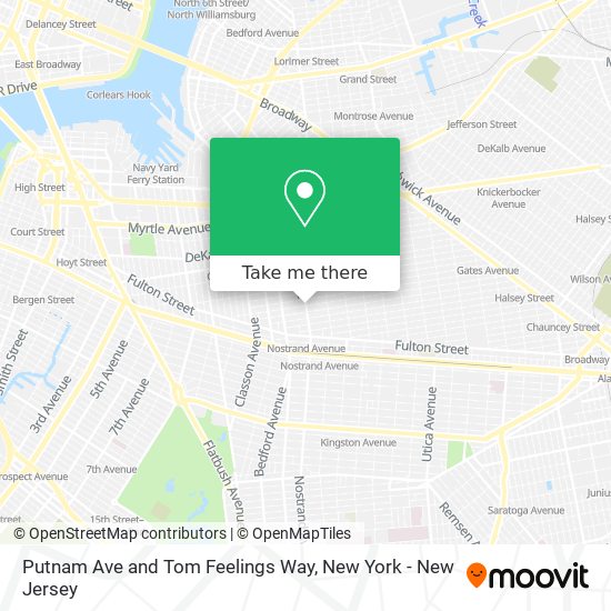 Putnam Ave and Tom Feelings Way map