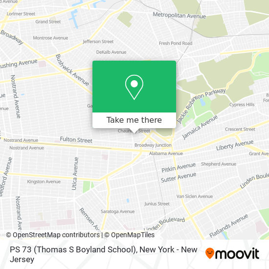 PS 73 (Thomas S Boyland School) map