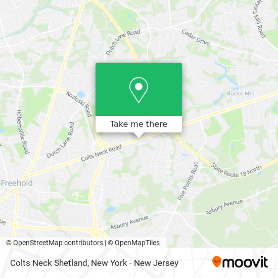 Mapa de Colts Neck Shetland