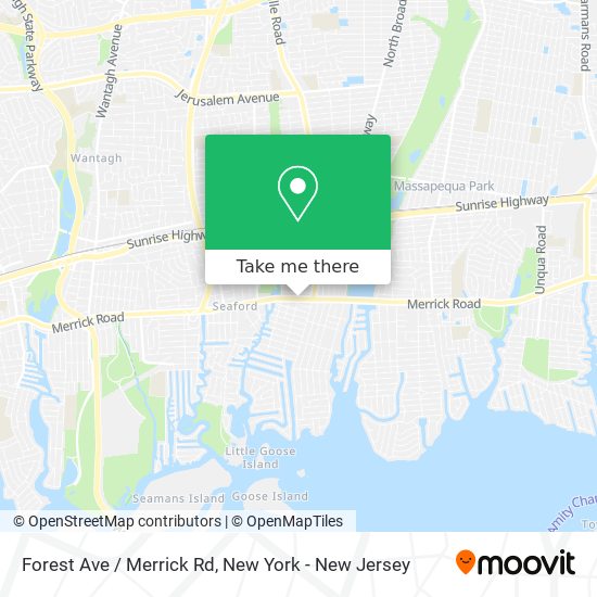 Forest Ave / Merrick Rd map