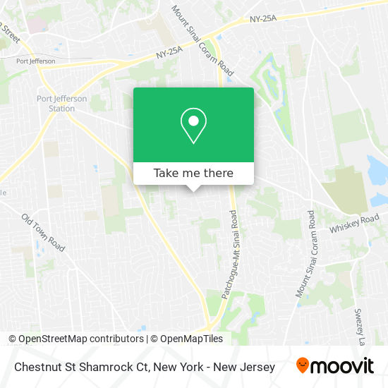 Mapa de Chestnut St Shamrock Ct