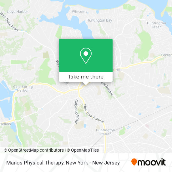 Mapa de Manos Physical Therapy