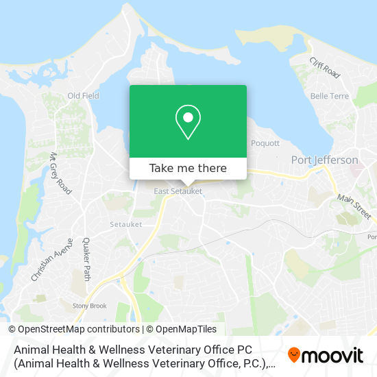 Mapa de Animal Health & Wellness Veterinary Office PC (Animal Health & Wellness Veterinary Office, P.C.)