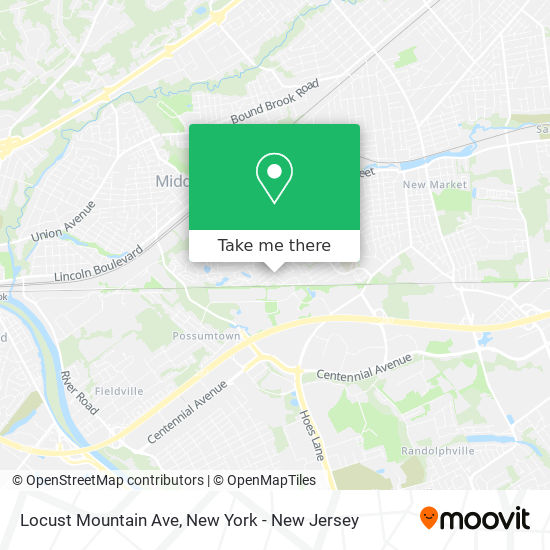 Locust Mountain Ave map
