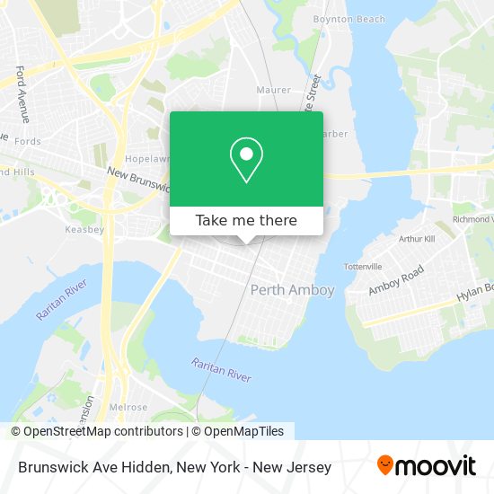 Brunswick Ave Hidden map