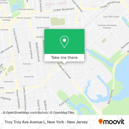 Troy Troy Ave Avenue L map