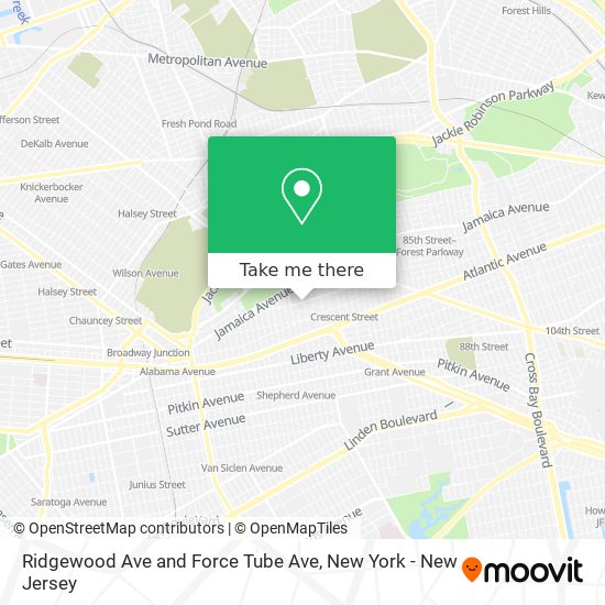 Ridgewood Ave and Force Tube Ave map