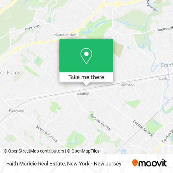 Faith Maricic Real Estate map