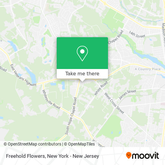 Freehold Flowers map