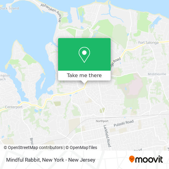 Mindful Rabbit map