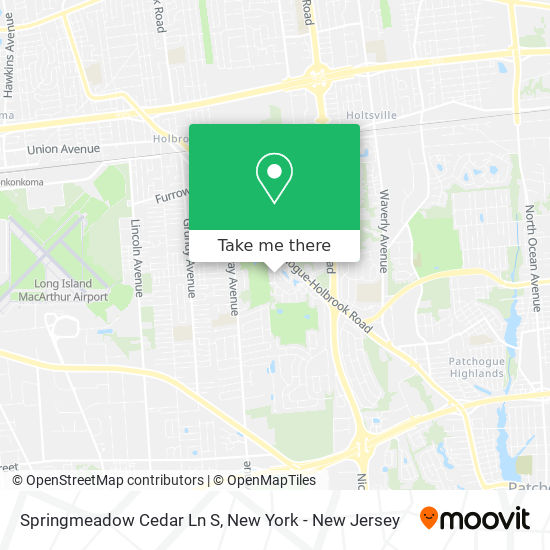 Mapa de Springmeadow Cedar Ln S