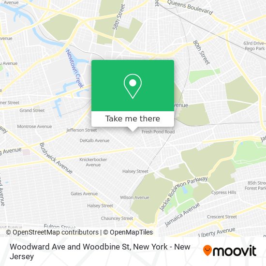 Mapa de Woodward Ave and Woodbine St