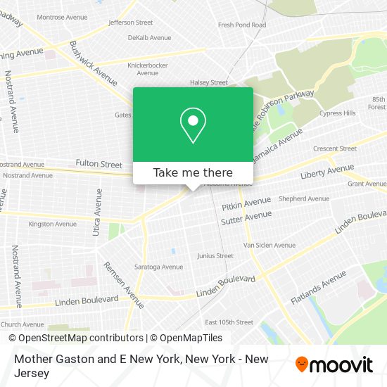 Mother Gaston and E New York map