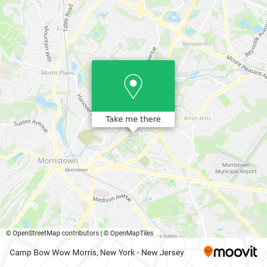 Camp Bow Wow Morris map