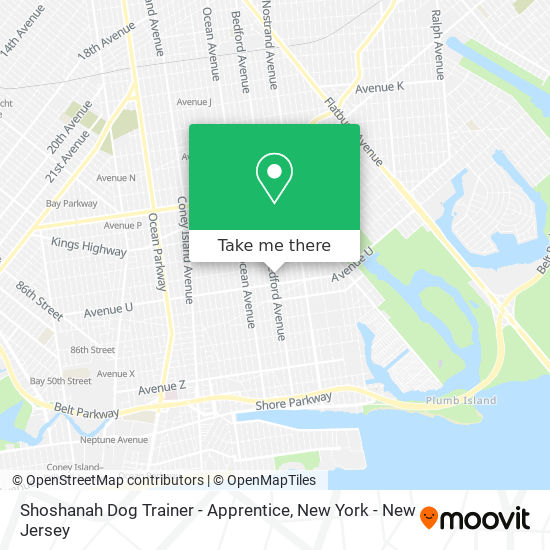 Mapa de Shoshanah Dog Trainer - Apprentice