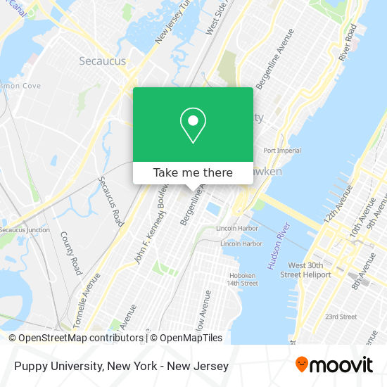 Mapa de Puppy University