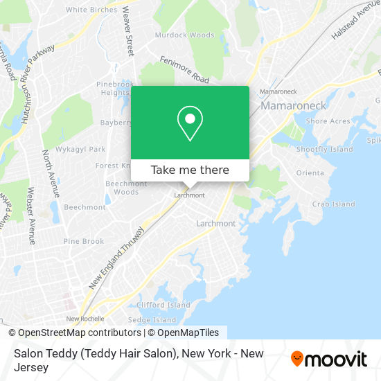 Mapa de Salon Teddy (Teddy Hair Salon)