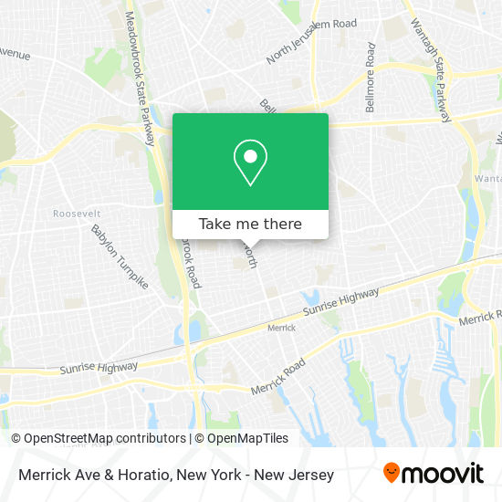 Merrick Ave & Horatio map