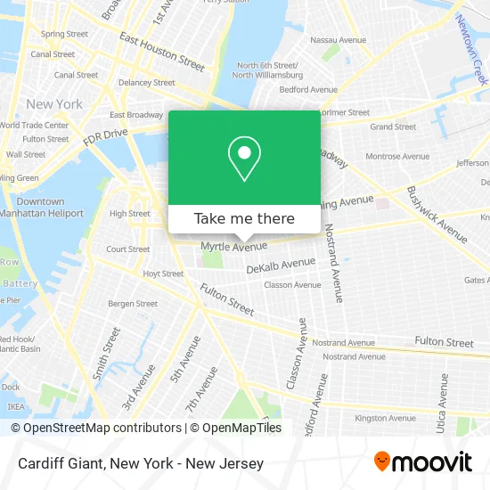 Cardiff Giant map