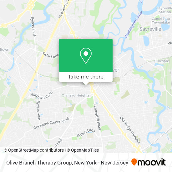 Olive Branch Therapy Group map