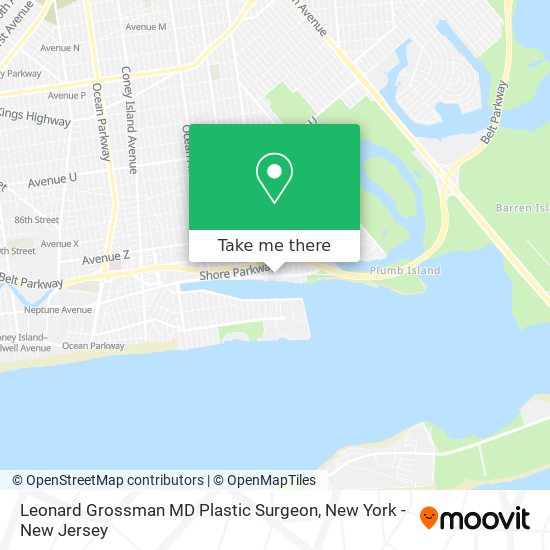 Leonard Grossman MD Plastic Surgeon map