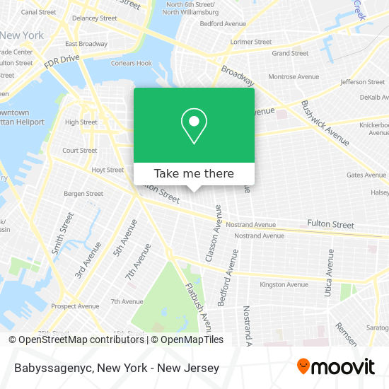 Babyssagenyc map