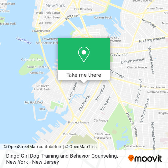 Dingo Girl Dog Training and Behavior Counseling map