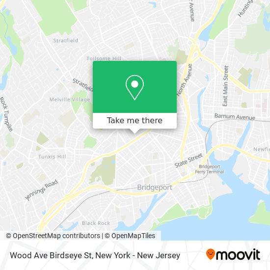 Mapa de Wood Ave Birdseye St