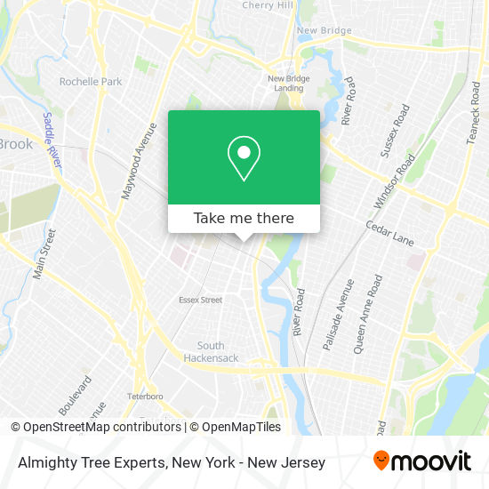 Almighty Tree Experts map