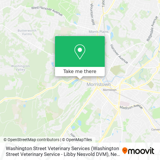 Mapa de Washington Street Veterinary Services (Washington Street Veterinary Service - Libby Nesvold DVM)