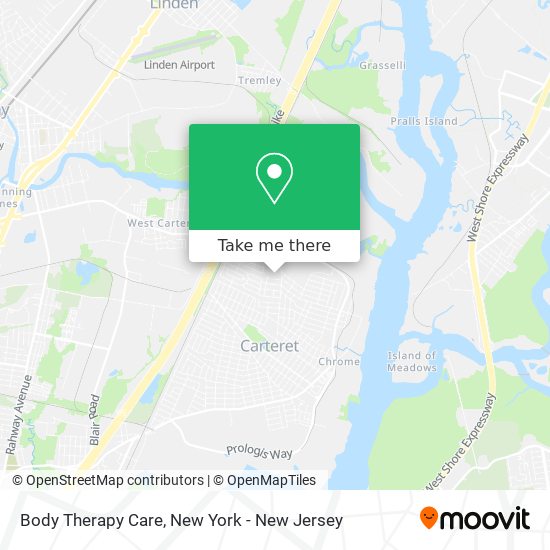 Body Therapy Care map