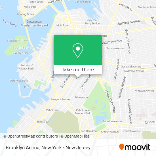 Mapa de Brooklyn Anima