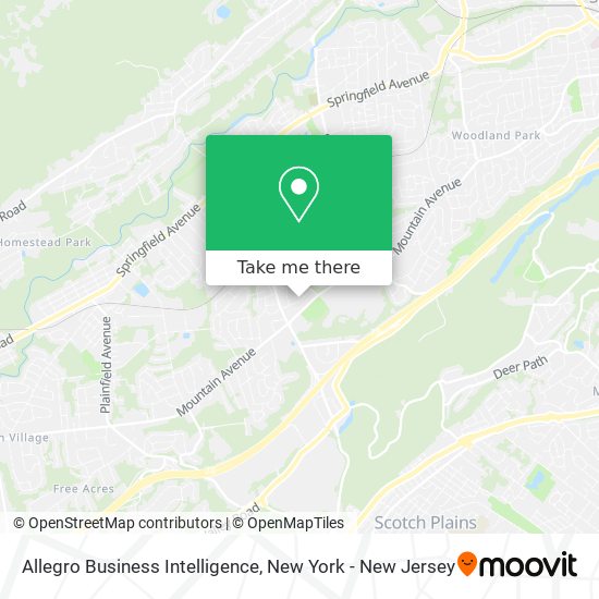 Allegro Business Intelligence map
