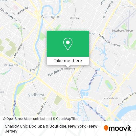 Shaggy Chic Dog Spa & Boutique map