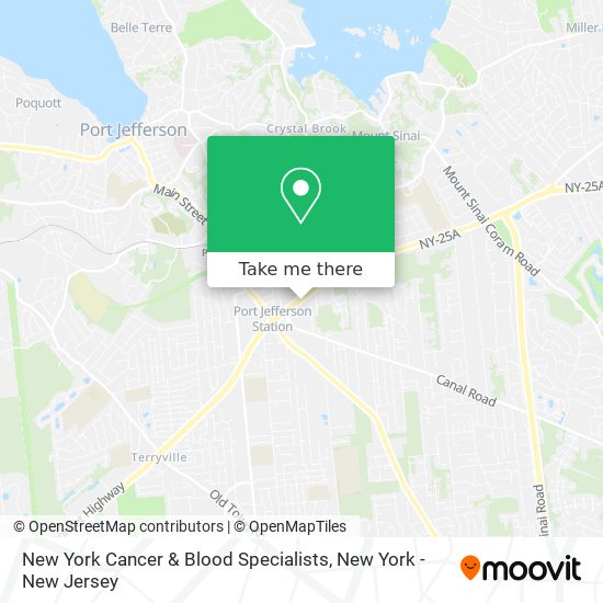Mapa de New York Cancer & Blood Specialists