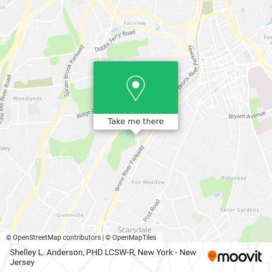 Shelley L. Anderson, PHD LCSW-R map