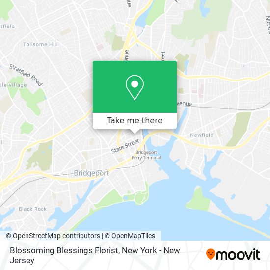 Blossoming Blessings Florist map
