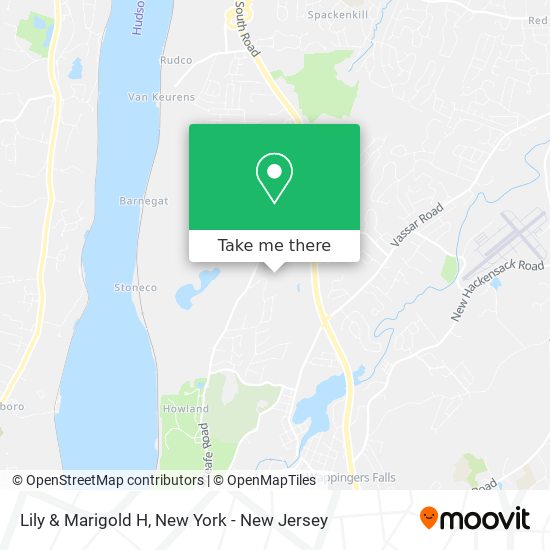 Mapa de Lily & Marigold H