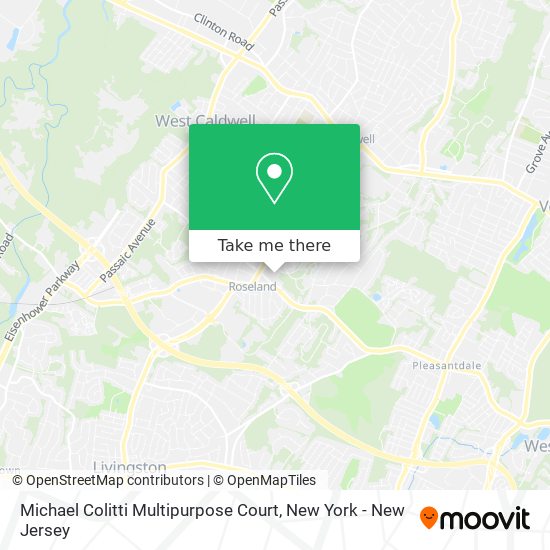 Michael Colitti Multipurpose Court map