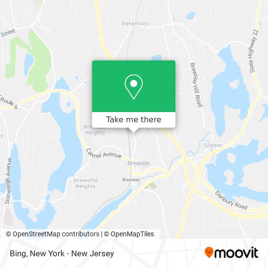 Bing map