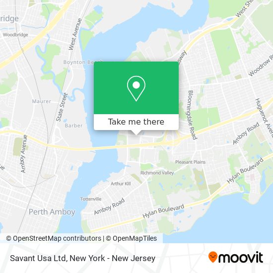 Savant Usa Ltd map