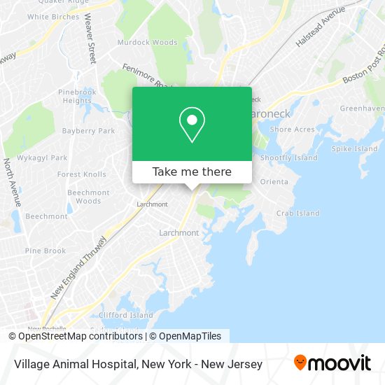 Village Animal Hospital map