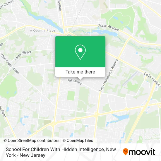 School For Children With Hidden Intelligence map