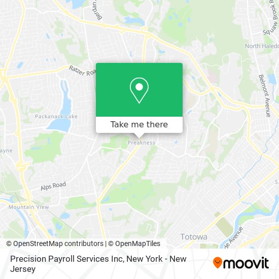 Precision Payroll Services Inc map