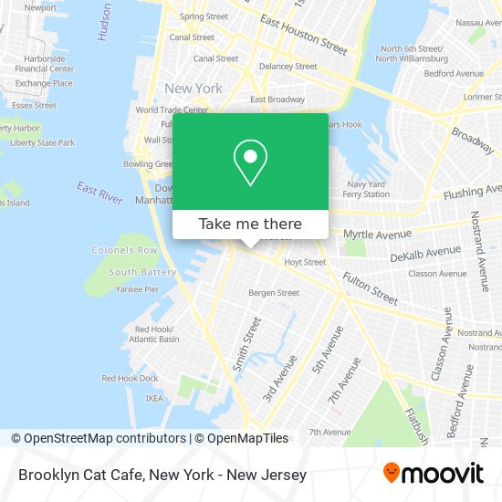 Brooklyn Cat Cafe map