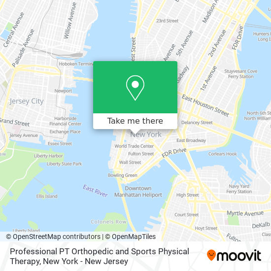 Professional PT Orthopedic and Sports Physical Therapy map