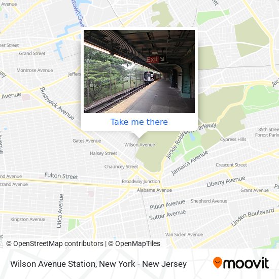 Mapa de Wilson Avenue Station