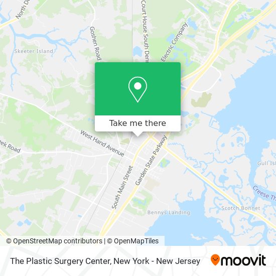 Mapa de The Plastic Surgery Center