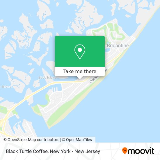 Black Turtle Coffee map